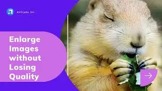 How to Enlarge Images without Losing Quality Using AVCLabs AI Image Enlarger