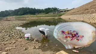 How many years did the huge wild shells grow,four filled a large bucket,multicolored pearls appeared