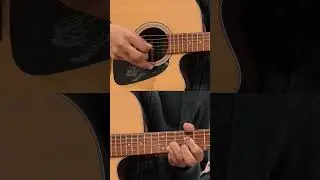 Blink182 Riff | What's my age again | #shorts #guitartabs