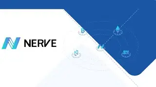 NERVE - обзор децентрализованной сети обслуживания цифровых активов