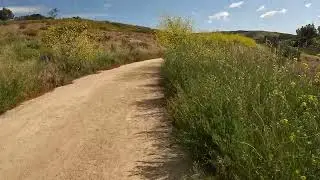 Walking the Shady Canyon Trail in Irvine, Southern California