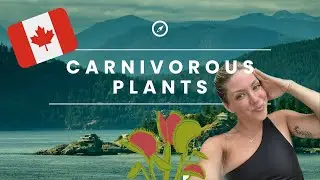 Cool Plants on Vancouver Island