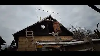 Голуби на Даче...Класс!