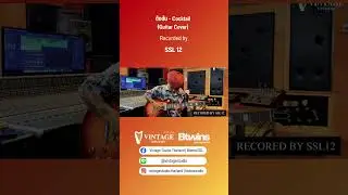 ดึงดัน - Cocktail (Guitar Cover) | Vintage Studio