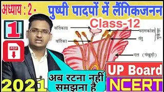 अध्याय 2 : पुष्पी पादपों में लैंगिक जनन (Biology Class 12 Chapter 2) | Biology In Hindi | UP Board