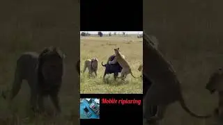 Ali mobile repiaring