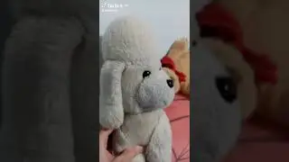 когда у тебя реальные мечты!