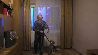 Василий записался на курсы юных дрессировщиков