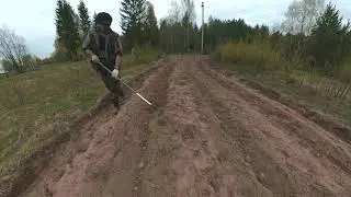 Мы на посадке картофеля (в полном составе)