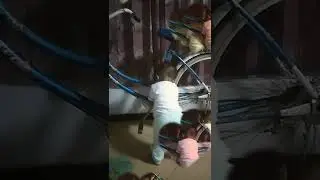 dance My baby #shorts #trending #viral