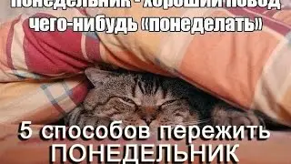 5 способов пережить понедельник