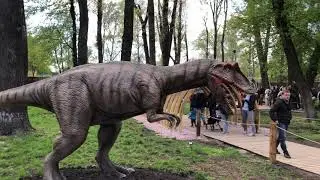 DИНОПАРК 09.05.21