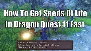 Life Seed Farming Guide Dragon Quest 11 | How To Get Seeds Of Life Fast