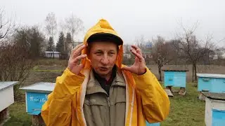 History of the channel Beekeeping and Nature | Competition of beekeepers