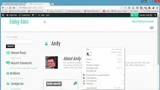 how to setup  Author Bio in your website