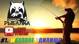 СТРИМ РР4 Прокачиваем Поплавочную ловлю, общаемся со зрителями