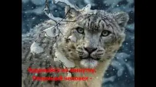Земля - наш ДОМ родной     Авт. клипа Светлана О-Ш