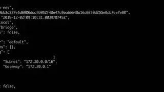 docker create network and inspect