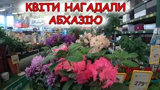 Доплели кікімору. Зняли соц ролики. Купила орхідею