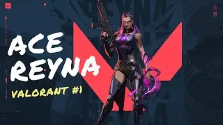 ACE PERTAMA PAKE AGENT KUYANG A.K.A REYNA