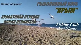 РЫБАЛКА В КРЫМУ,АРАБАТСКАЯ СТРЕЛКА,ловля пелингаса