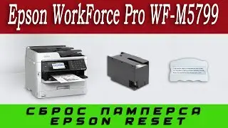 Epson WorkForce Pro WF-M5799 Сброс ошибки (памперса) Срок службы ёмкости для отработ. чернил истек
