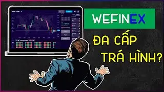 Wefinex có thật sự lừa đảo hay không?