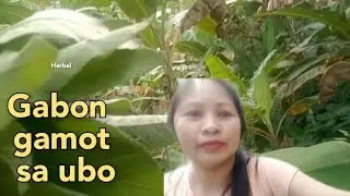 nanguha ko ug( Gabon) para gamot sa ubo.Dan&Rose Nature Lovers