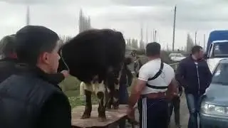 Рекорд