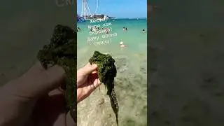 Жесть! Море как «Окрошка» октябрь 2024. Дубай. #море #дубай  #дубай2024