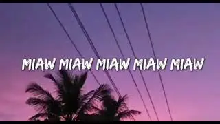 Meow meow meow meow sad song Lyric video