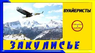 ЗАКУЛИСЬЕ. ВУАЙЕРИСТЫ