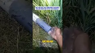 hujan buatan untuk calon beras