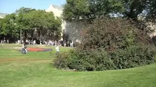 UofS - The Bowl