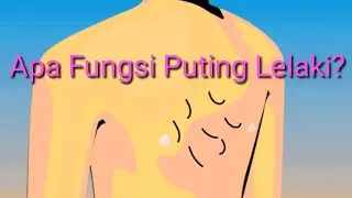 Apa Fungsi Puting Lelaki?