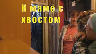 Я УДАВ С ХВОСТОМ / ПОДЕШЕВЕЛО - НАДО БРАТЬ / 25 августа 2024