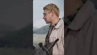 Девушка и осел