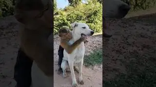 Никого не заставляю ☝ 