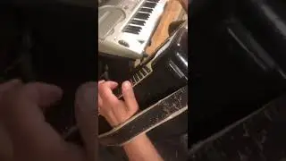 Дуй дуй (кошка) поличка🎹👑