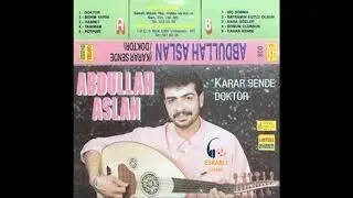 Abdullah Aslan - Doktor