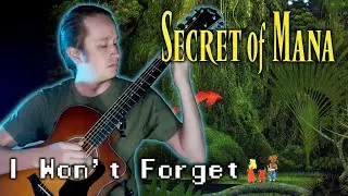 I Won't Forget from Secret of Mana on Acoustic Guitar