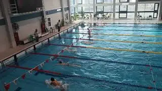 Весёлый дельфин. 100м брасс. Манкевич, Марковский, Гавриленко