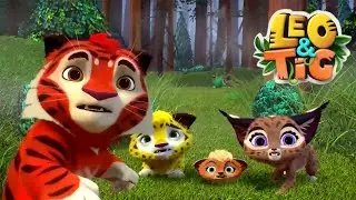Leo & Tig - Episode 6 🐯 The Red Deer | Super Toons - Kids Shows & Cartoons