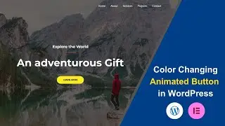 WordPress Button Animation Without JavaScript or Plugins – Super Easy