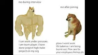 Programming Meme | Dynamic Programming | Notice Period | 