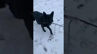 С 1 апреля ❄️