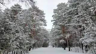 Последняя ночь зимы. Масленица, римский Новый год и возвращение Аполлона в Дельфы