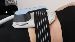 3 腹部
