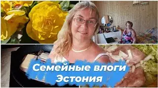 Дачные влоги с Чудского озера.Эстония.Рецепт из кабачков на скорую руку.Дачные дела.Ремонт на даче