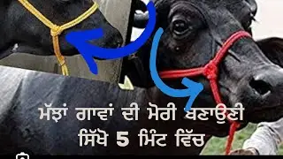 ਮੱਝਾਂ ਗਾਵਾਂ ਦੀ ਮੋਰੀ ਬਣਾਉਣੀ ਸਿੱਖੋ 5 ਮਿੰਟ ਵਿੱਚ              गाय भैंस की भोरकली वाली मोहरी बनाना सीखो